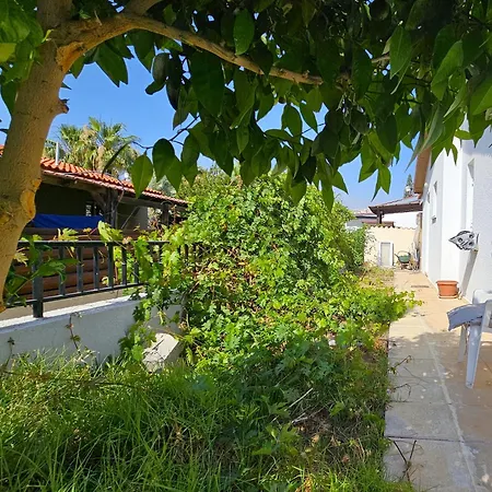 Katka Auberge de jeunesse Paphos