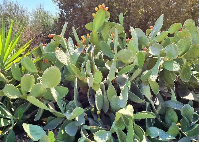 Katka אכסניה *